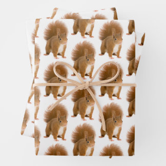 Feuille De Papier Cadeau Écureuil