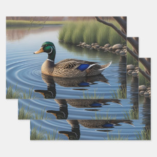 Feuille De Papier Cadeau Elégant Mallard Graceful Sur Paisible Country Pond