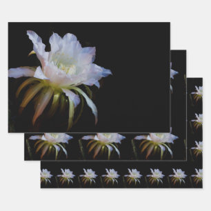 Feuille De Papier Cadeau Elégante reine de la fleur de cactus de nuit