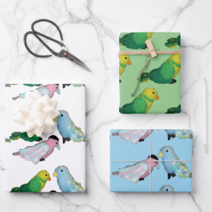 Feuille De Papier Cadeau Emballage-cadeau - Poupées Perruches