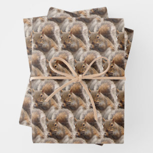 Feuille De Papier Cadeau Enveloppe cadeau écureuil de bois de charme