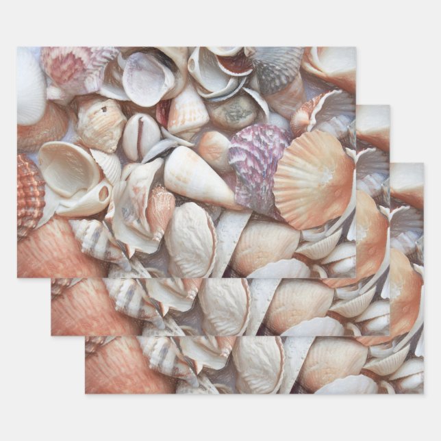 Feuille De Papier Cadeau Esquisse de coquillages Ocean Nautical Beach Décou (Lot)
