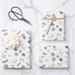 Feuille De Papier Cadeau Eucalyptus Vert Argent Dollar Gum Blossoms