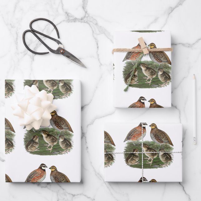 Feuille De Papier Cadeau Famille Bobwhite Quail (Recto)
