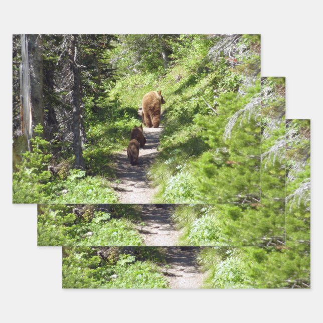 Feuille De Papier Cadeau Famille d'ours Brown (Lot)