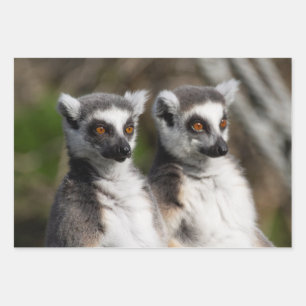 Feuille De Papier Cadeau Famille Lemur Catta