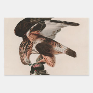 Feuille De Papier Cadeau Faucon à pattes rousses d'Amérique Audubon Imprime