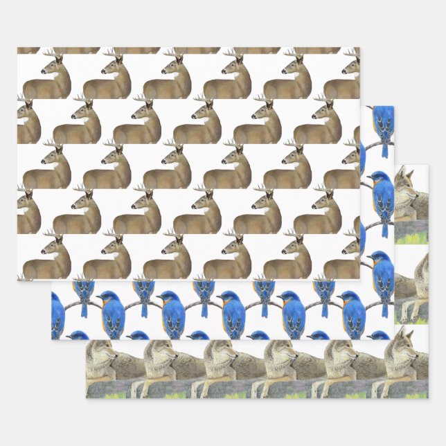 Feuille De Papier Cadeau Faune (Lot)