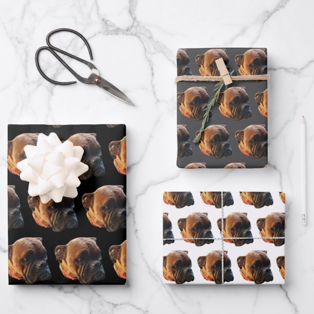 Feuille De Papier Cadeau Fête d'anniversaire personnalisée Boxer Chien Phot (Recto)