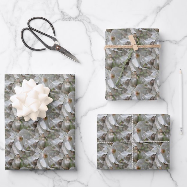 Feuille De Papier Cadeau Fleur de Magnolia Blanche Fleur Nature   (Recto)