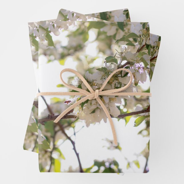 Feuille De Papier Cadeau fleurs abeille (En situation)