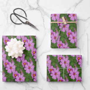 Feuille De Papier Cadeau Fleurs de Cosmos rose Motif naturel