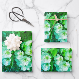 Feuille De Papier Cadeau Fleurs de poires blanches au printemps