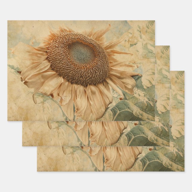 Feuille De Papier Cadeau Fleurs de soleil géantes Jaune Vieux Découpage Vin (Lot)