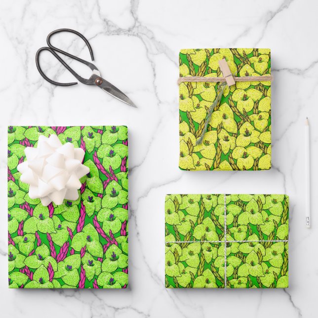 Feuille De Papier Cadeau Fleurs Puya Fleur fleurir Motif Floral Chartreuse  (Recto)