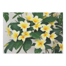 Flower tropical