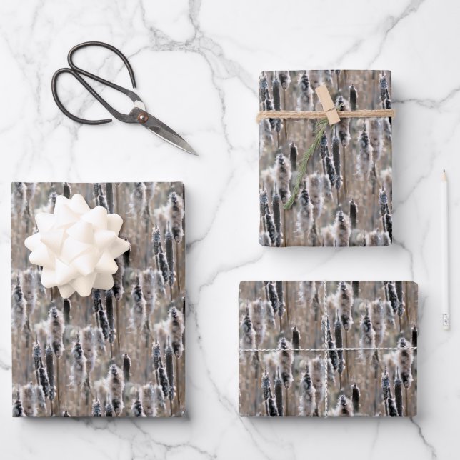 Feuille De Papier Cadeau Fluffy Cattails Nature Motif (Recto)