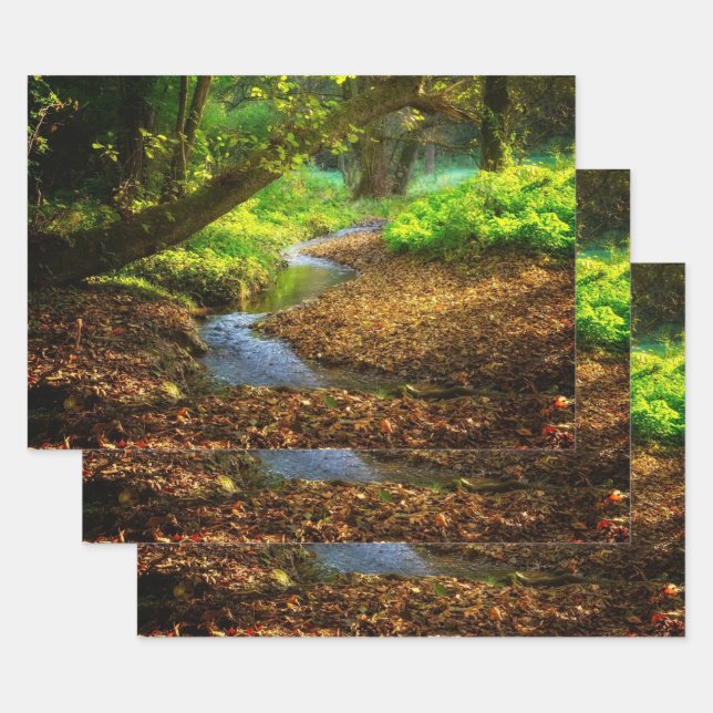 Feuille De Papier Cadeau Forest Creek Belle nature Paysage Photo (Lot)