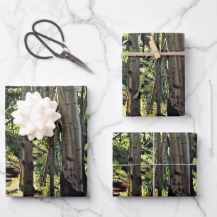 Feuille De Papier Cadeau Forêt d'arbres d'Aspens
