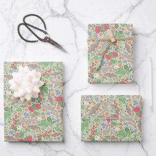 Feuille De Papier Cadeau Framboises Papillons Courants Fraise Jardin