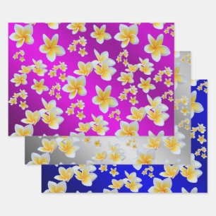 Feuille De Papier Cadeau frangipanier, pétale, fleur, design, fleur, fleurs