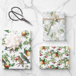Feuille De Papier Cadeau Fruits lavés, baies, oiseaux et feuillage assortés