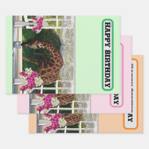 Feuille De Papier Cadeau Giraffe Dans Ma Fenêtre, Anniversaire