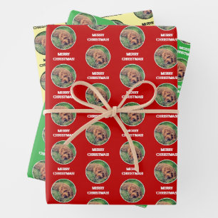 Feuille De Papier Cadeau Golden Doodle