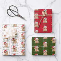 Golden Retriever Dog Santa Christmas