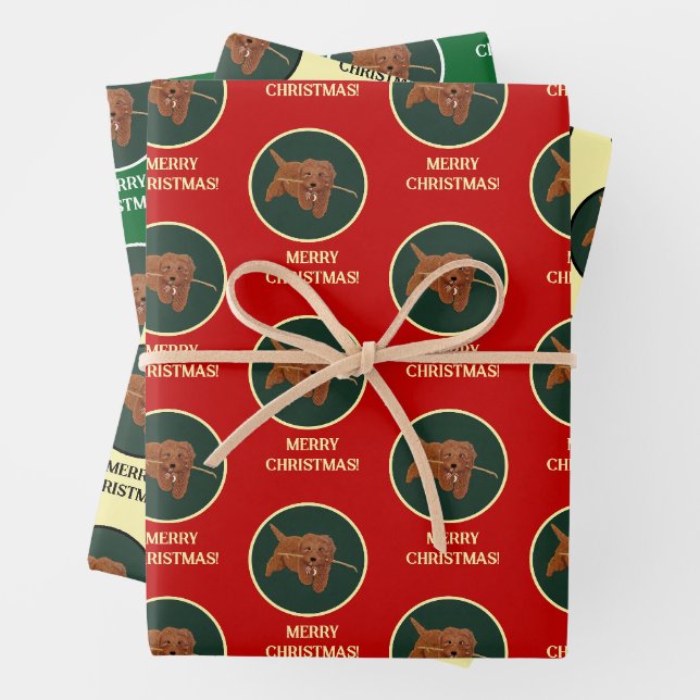 Feuille De Papier Cadeau Goldie Golden Doodle (En situation)