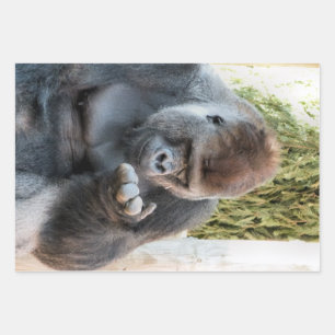 FEUILLE DE PAPIER CADEAU GORILLA FRAÎCHE