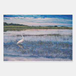 Feuille De Papier Cadeau Grande aigrette dans les zones humides