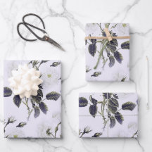 Gris De Toile Florale, Rose, Bleu 