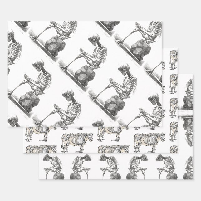 Feuille De Papier Cadeau Halloween squelette assis anatomie (Lot)