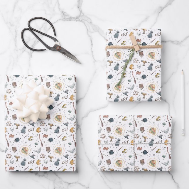 Feuille De Papier Cadeau Harry Potter Icons Motif - Anniversaire (Recto)