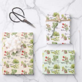 Feuille De Papier Cadeau Hawaii Volcano Native Plants Wrapping Paper