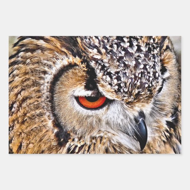 FEUILLE DE PAPIER CADEAU HIBOU (Devant)
