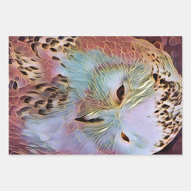 FEUILLE DE PAPIER CADEAU HIBOU (Devant)