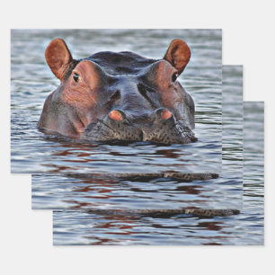 Feuille De Papier Cadeau hippo