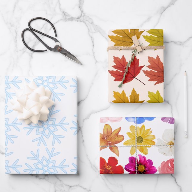 Feuille De Papier Cadeau Hiver, Printemps, Automne Saisons Enveloppement Ca (Recto)
