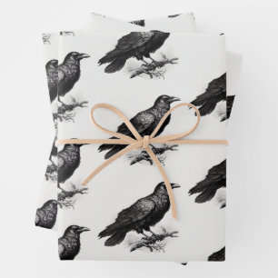 Feuille De Papier Cadeau Illustration Vintage Corbeau