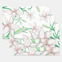 Illustration White Lily