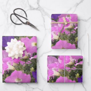 Feuille De Papier Cadeau Image photo de fleurs de l'ipomée rose et violette