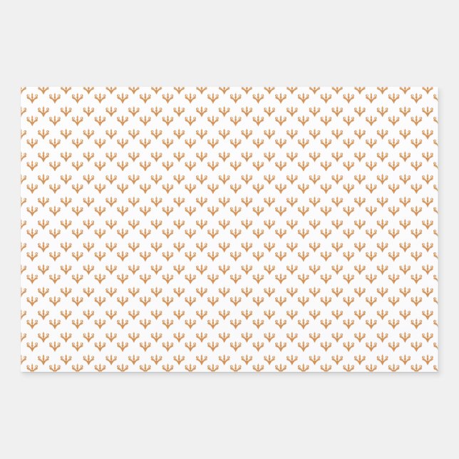 Feuille De Papier Cadeau Indien vivant (Devant)
