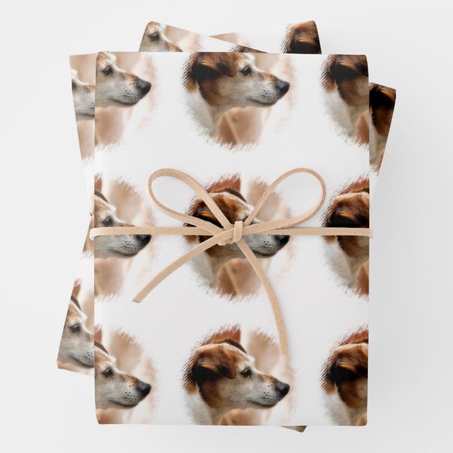 FEUILLE DE PAPIER CADEAU JACK RUSSELL TERRIER CHIEN (En situation)