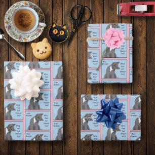 Feuille De Papier Cadeau Je Me Demande Toujours Curieux Chat Bleu