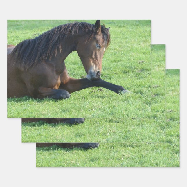 Feuille De Papier Cadeau Joli Cheval Brown allongé dans l'herbe (Lot)