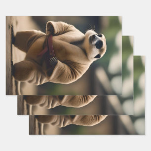 Feuille De Papier Cadeau La Puissante Meerkat : La Fusillade Du Sumo,