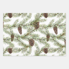 Feuille De Papier Cadeau La verdure. pin, cône, sapin