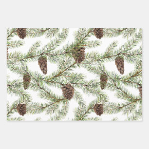 Feuille De Papier Cadeau La verdure. pin, cône, sapin